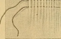 An illustration from Encyclopedia of needlework (1890)