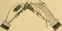 An illustration from Encyclopedia of needlework (1890)