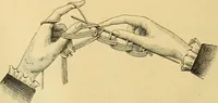 An illustration from Encyclopedia of needlework (1890)