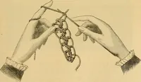 An illustration from Encyclopedia of needlework (1890)
