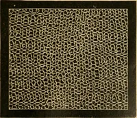 An illustration from Encyclopedia of needlework (1890)