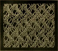 An illustration from Encyclopedia of needlework (1890)