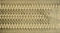 An illustration from Encyclopedia of needlework (1890)