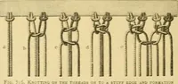An illustration from Encyclopedia of needlework (1890)