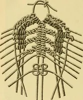 An illustration from Encyclopedia of needlework (1890)