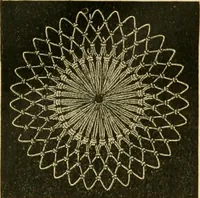 An illustration from Encyclopedia of needlework (1890)