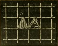 Picture 501 of 703 from Encyclopedia of needlework (1890), leaf 423