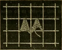 Picture 502 of 703 from Encyclopedia of needlework (1890), leaf 423