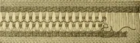 An illustration from Encyclopedia of needlework (1890)