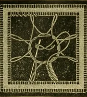 An illustration from Encyclopedia of needlework (1890)