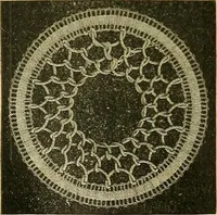 An illustration from Encyclopedia of needlework (1890)