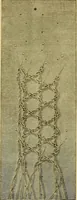 An illustration from Encyclopedia of needlework (1890)