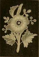 An illustration from Encyclopedia of needlework (1890)