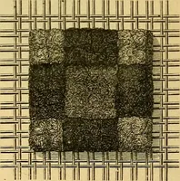 An illustration from Encyclopedia of needlework (1890)