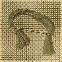 An illustration from Encyclopedia of needlework (1890)