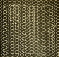 An illustration from Encyclopedia of needlework (1890)