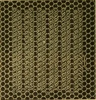 An illustration from Encyclopedia of needlework (1890)