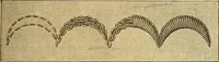 Picture 116 of 703 from Encyclopedia of needlework (1890), leaf 86