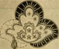 An illustration from Encyclopedia of needlework (1890)