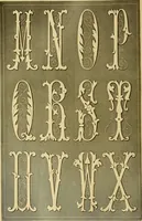 An illustration from Encyclopedia of needlework (1890)