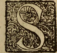 An illustration from Engaños y desengaños del profano amor : deducidos de la amorosa historia, que à este fin se refiere del ducque D. Federico de Toledo : donde se disuade lo nocivo de esta passion, y se previene su remedio en diversos documentos morales, y politicos ; illustrados de toda erudicion sacra y humana ... (1687)