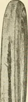 Picture 9 of 107 from Engelman's autocraft; being an instructive study of the automobile; its care and management; how to drive; locating troubles and repairing them; with chapters exploiting some of the latest devices used in automobile construction (1914), leaf 52