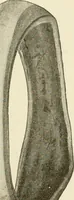An illustration from Engelman's autocraft; being an instructive study of the automobile; its care and management; how to drive; locating troubles and repairing them; with chapters exploiting some of the latest devices used in automobile construction (1914)