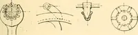An illustration from The engineer's sketch-book of mechanical movements, devices, appliances, contrivances and details employed in the design and construction of machinery for every purpose; (1902)