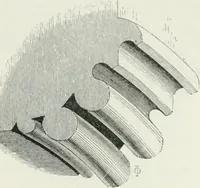 An illustration from An attempt to discriminate the styles of architecture in England : from the Conquest to the Reformation : with a sketch of the Grecian and Roman orders (1862)