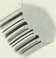 An illustration from An attempt to discriminate the styles of architecture in England : from the Conquest to the Reformation : with a sketch of the Grecian and Roman orders (1862)