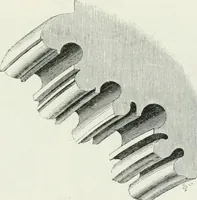 An illustration from An attempt to discriminate the styles of architecture in England : from the Conquest to the Reformation : with a sketch of the Grecian and Roman orders (1862)