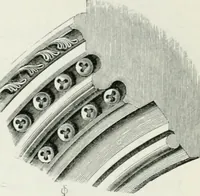 An illustration from An attempt to discriminate the styles of architecture in England : from the Conquest to the Reformation : with a sketch of the Grecian and Roman orders (1862)