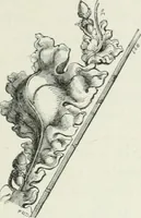 An illustration from An attempt to discriminate the styles of architecture in England : from the Conquest to the Reformation : with a sketch of the Grecian and Roman orders (1862)