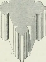 An illustration from An attempt to discriminate the styles of architecture in England : from the Conquest to the Reformation : with a sketch of the Grecian and Roman orders (1862)