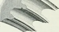 An illustration from An attempt to discriminate the styles of architecture in England : from the Conquest to the Reformation : with a sketch of the Grecian and Roman orders (1862)