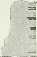 An illustration from An attempt to discriminate the styles of architecture in England : from the Conquest to the Reformation : with a sketch of the Grecian and Roman orders (1862)