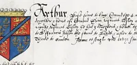 Picture 24 of 27 from English armorial : manuscript (1603), leaf 157