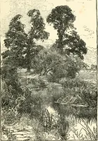 An illustration from English book-illustration of to-day; appreciations of the work of living English illustrators, with lists of their books (1903)
