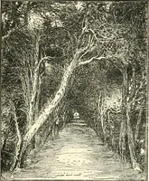 An illustration from English book-illustration of to-day; appreciations of the work of living English illustrators, with lists of their books (1903)