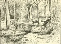An illustration from English book-illustration of to-day; appreciations of the work of living English illustrators, with lists of their books (1903)