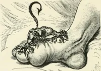 Picture 6 of 75 from English caricaturists and graphic humourists of the nineteeth century : How they illustrated and interpreted their times (1886), leaf 36