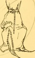 An illustration from English costume (1906)