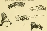 An illustration from English costume (1906)