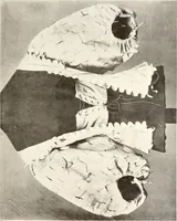 Picture 53 of 125 from English costume from prehistoric times to the end of the eighteenth century (1910), leaf 193