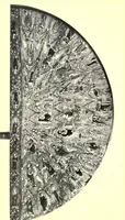 An illustration from English embroidery (1905)