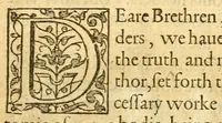 An illustration from The English mans treasure : with the true anatomie of mans bodie (1599)