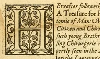 An illustration from The English mans treasure : with the true anatomie of mans bodie (1599)
