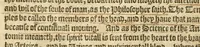 An illustration from The English mans treasure : with the true anatomie of mans bodie (1599)