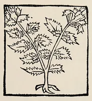 An illustration from English & Scottish printing types, 1501-58* 1508-58 (1930)
