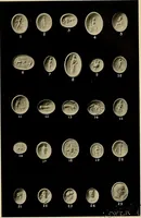 An illustration from Engraved gems, signets, talismans and ornamental intaglios, ancient and modern (1912)
